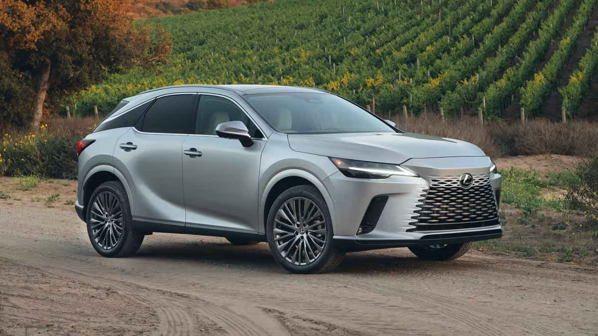 RX|http://www.hohocar.com/info/34/lexus
